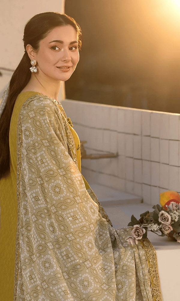 Tsl-089 Unstitched 3pc Embroidered Dress Lawn