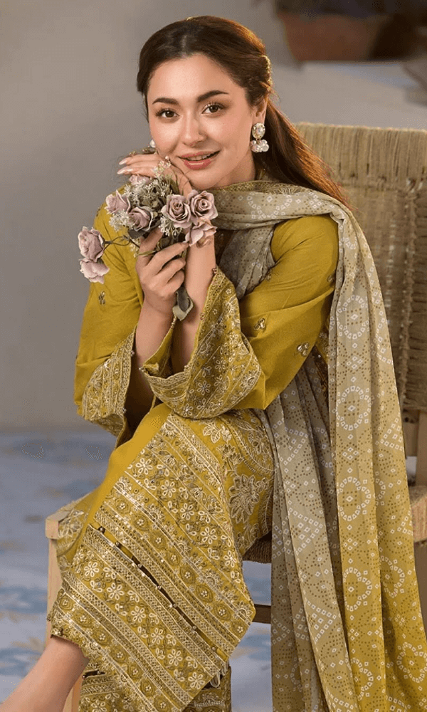 Tsl-089 Unstitched 3pc Embroidered Dress Lawn